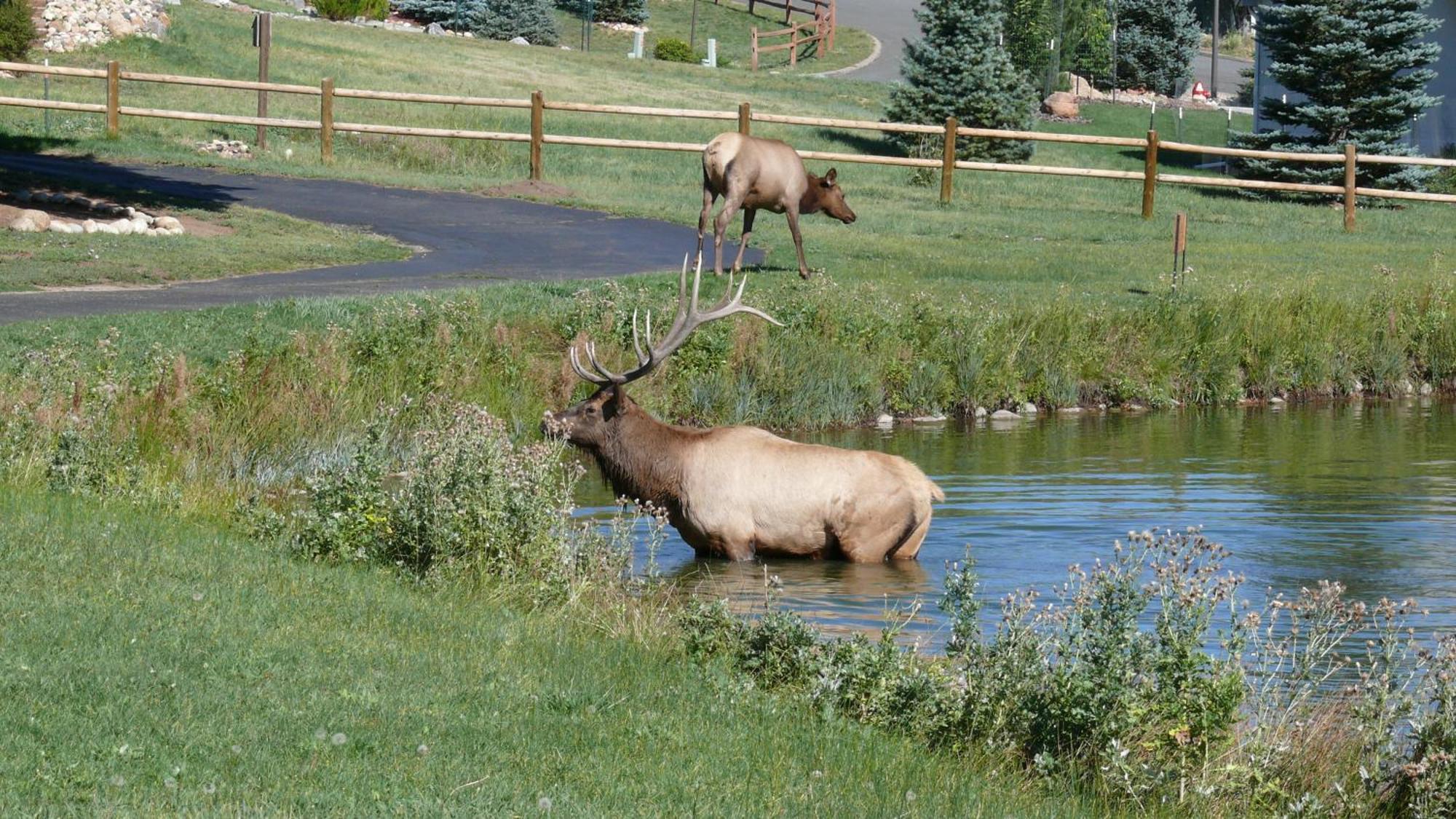 Discovery Lodge Estes Park Kültér fotó